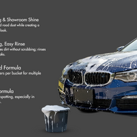 Nippon Paint n-Shield Car Wax Shampoo 250ml | Deep Cleaning, Glossy Finish, Wax Protection | No. 1 Paint In Asia Pacific